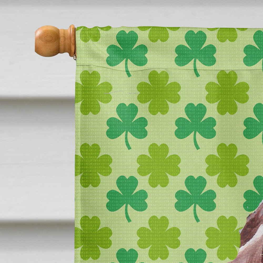 Redbone Coonhound Lucky Shamrock St. Patrick's Day Flag Canvas House Size SC9731CHF
