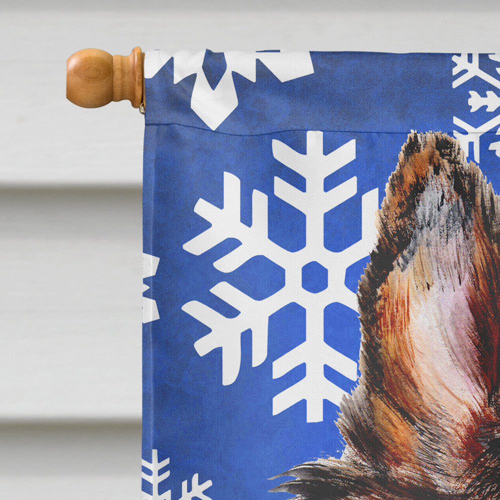 Collie Winter Snowflakes Flag Canvas House Size SC9766CHF