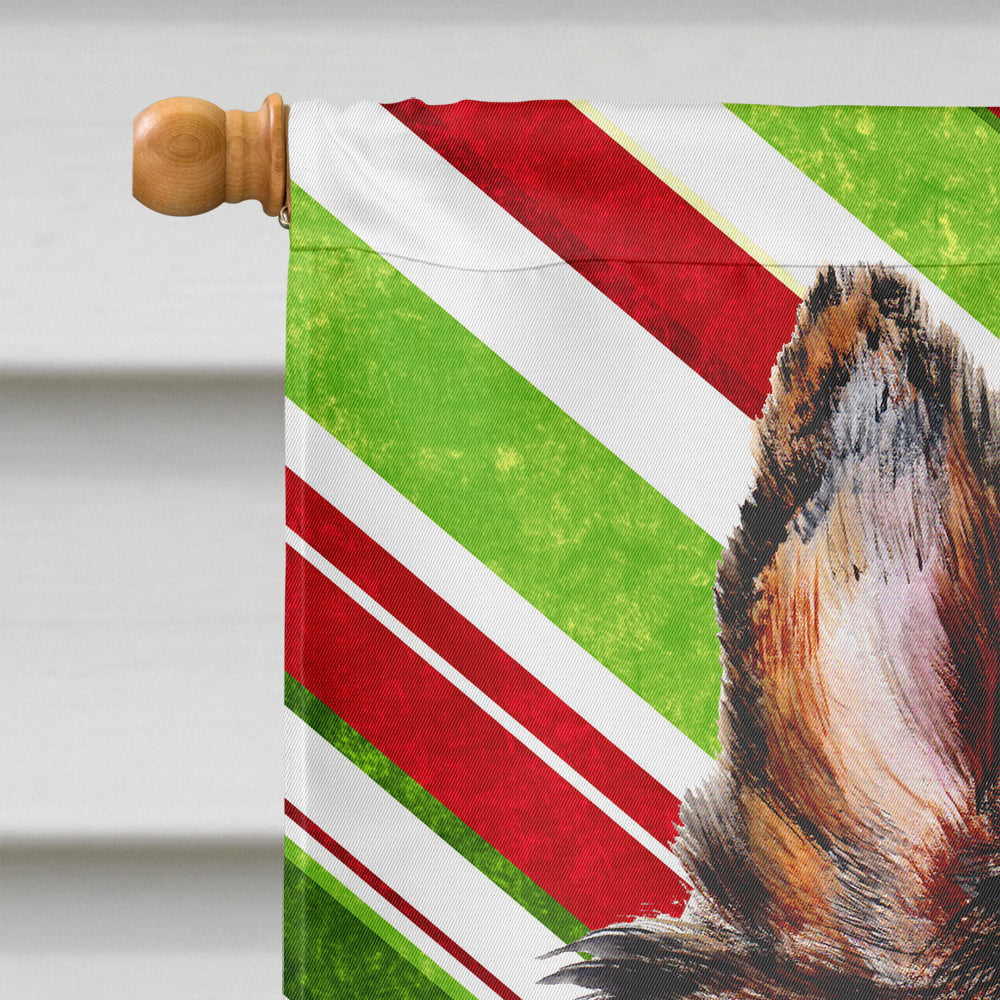 Collie Candy Cane Christmas Flag Canvas House Size SC9790CHF  the-store.com.