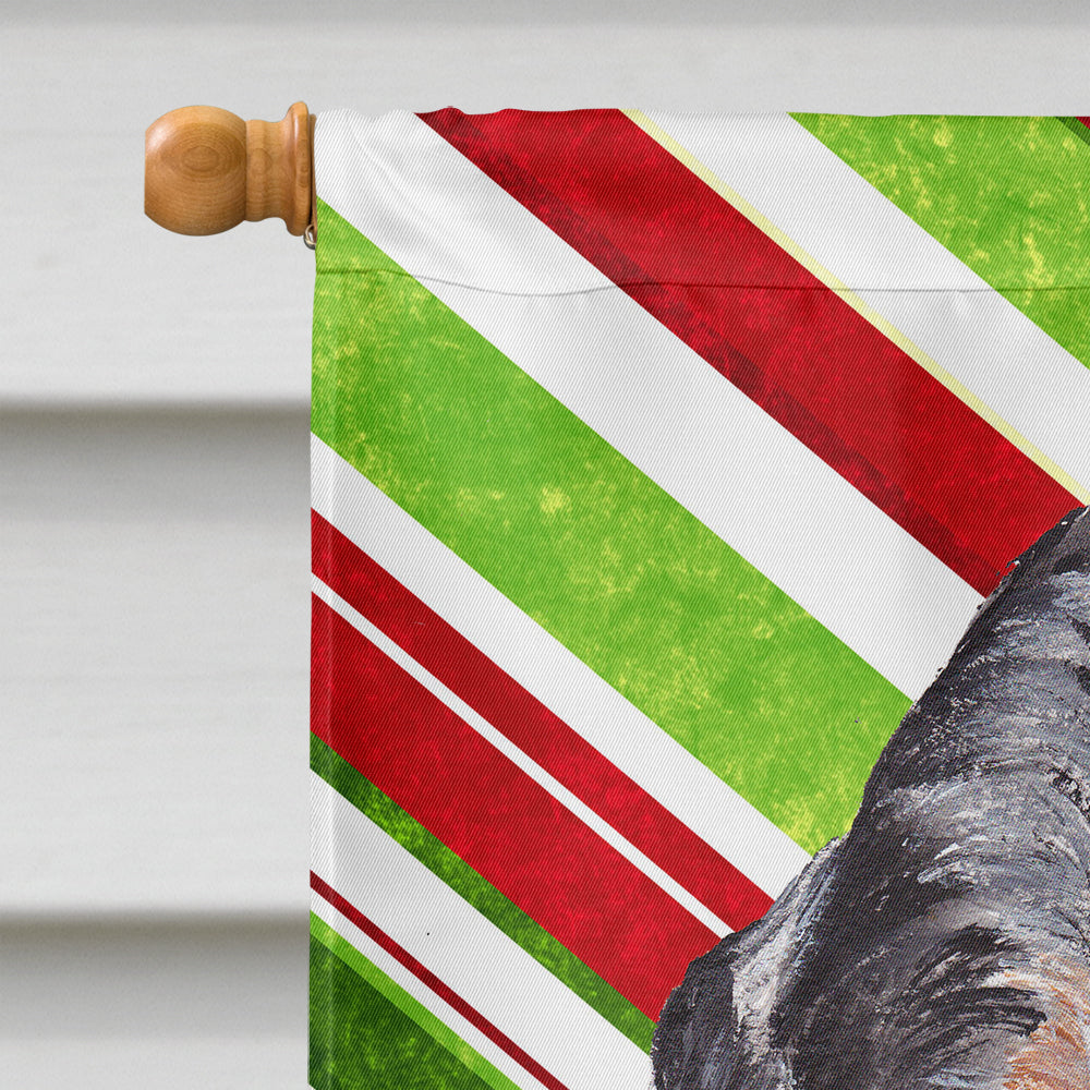 Blue Tick Coonhound Candy Cane Christmas Flag Canvas House Size SC9793CHF  the-store.com.