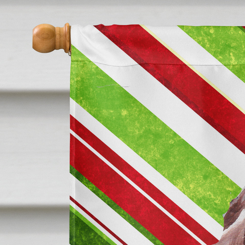 Redbone Coonhound Candy Cane Christmas Flag Canvas House Size SC9803CHF  the-store.com.