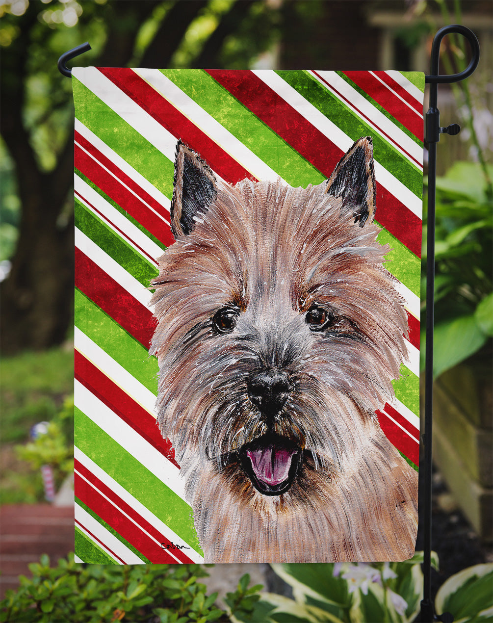 Norwich Terrier Candy Cane Christmas Flag Garden Size SC9806GF