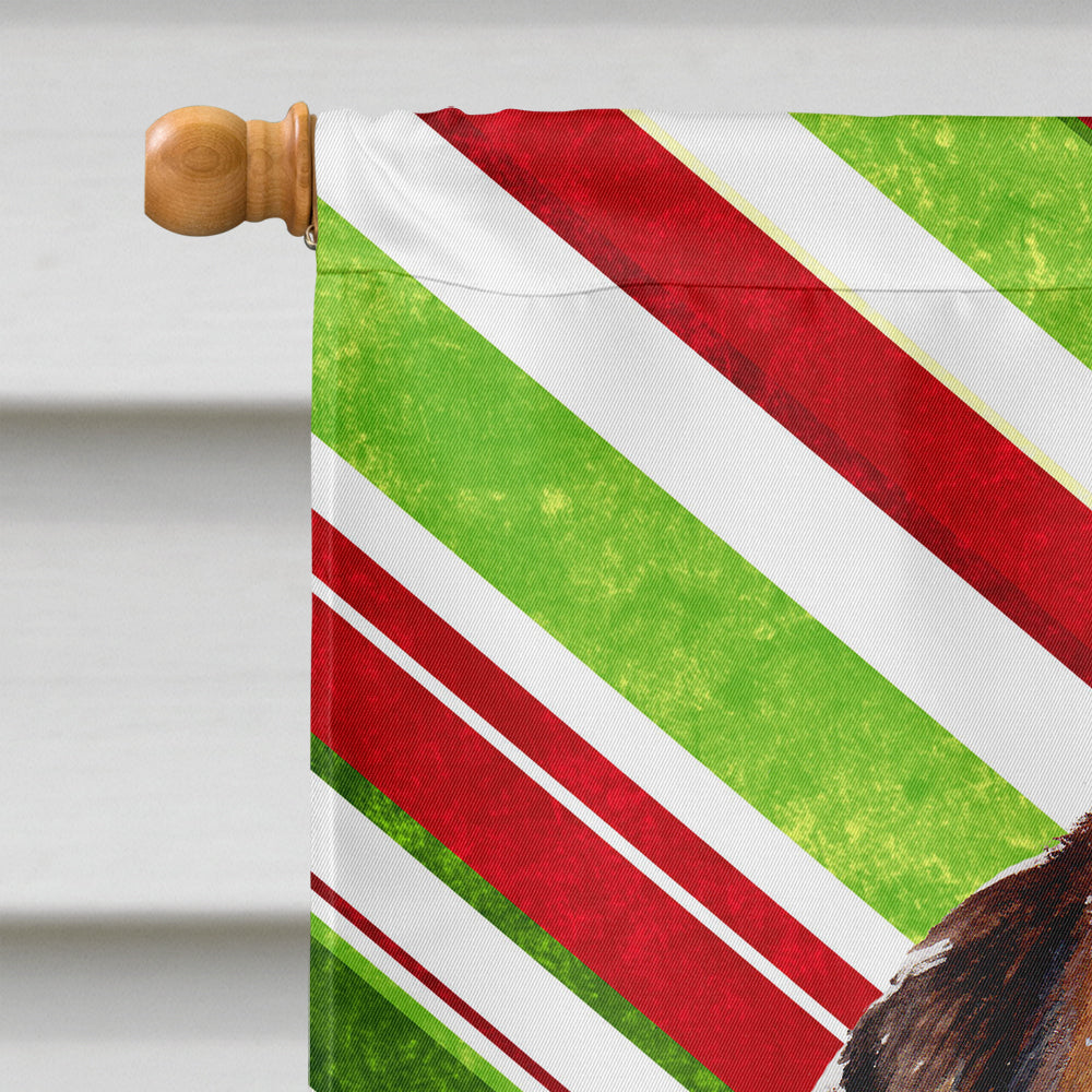 Norfolk Terrier Puppy Candy Cane Christmas Flag Canvas House Size SC9807CHF  the-store.com.