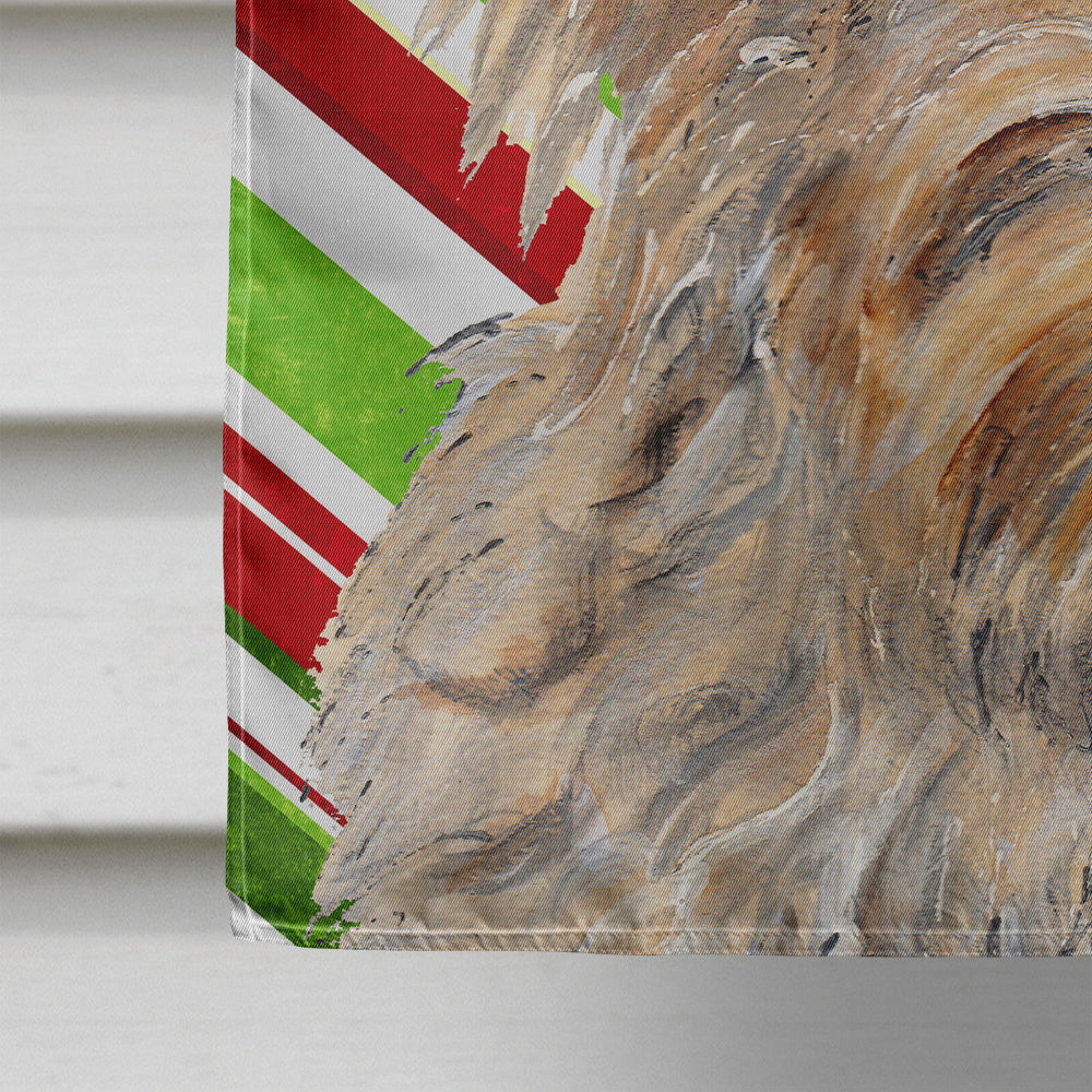 Golden Doodle 2 Candy Cane Christmas Flag Canvas House Size SC9811CHF