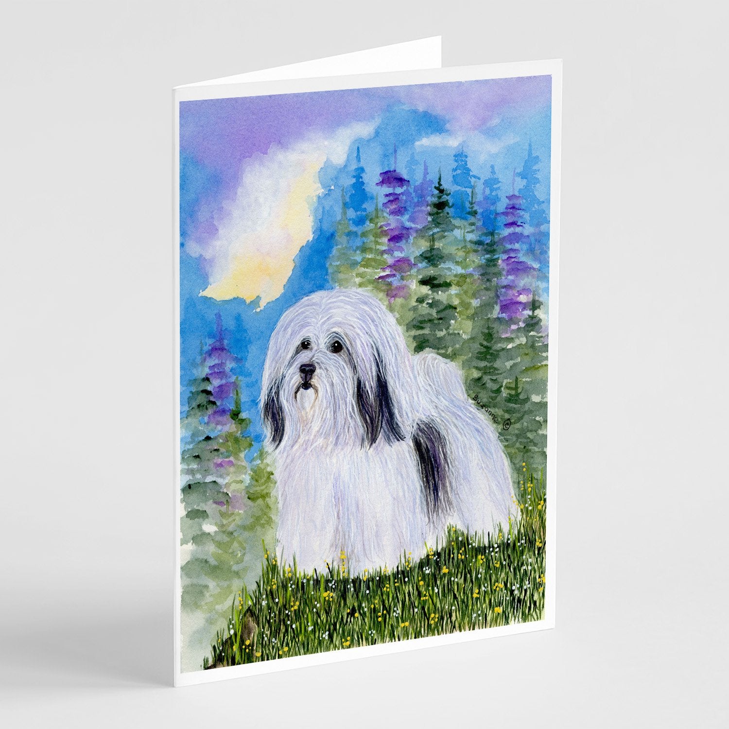 Buy this Havanese Greeting Cards and Envelopes Pack of 8