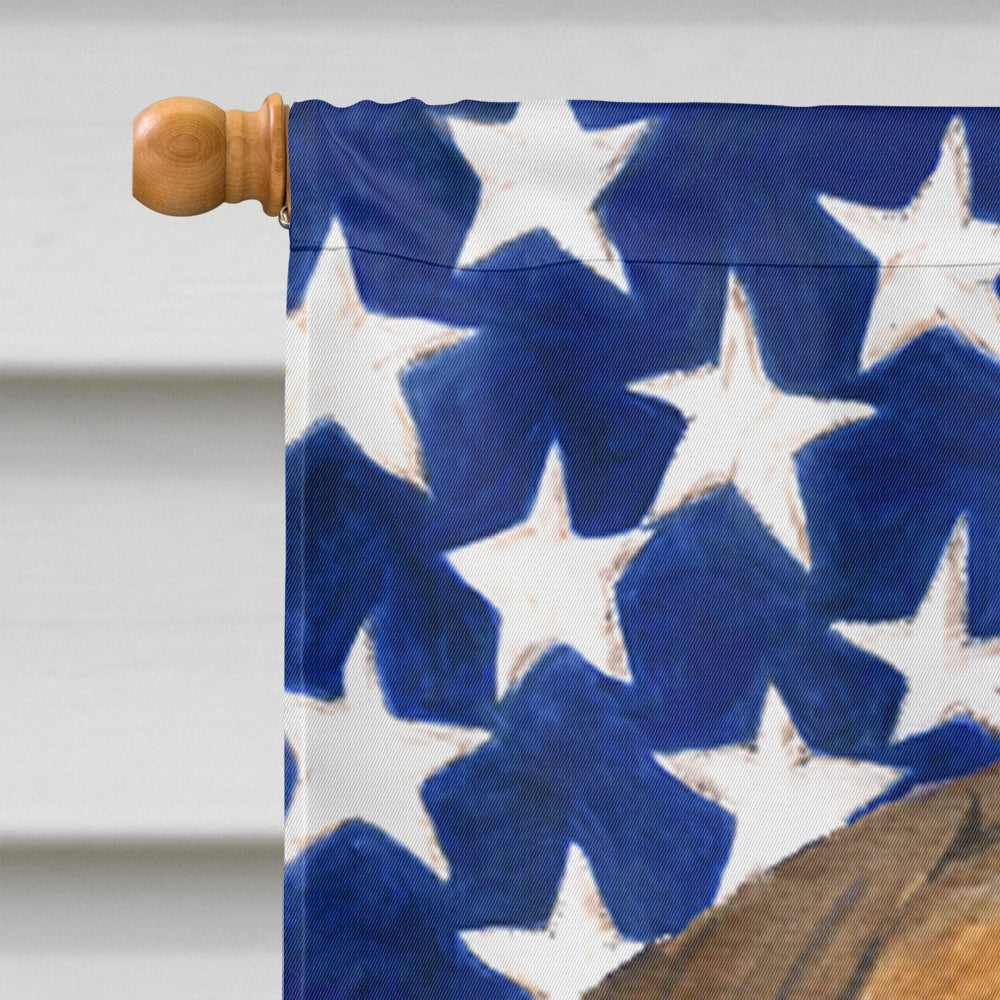 Drapeau américain des États-Unis avec drapeau Bullmastiff Taille de la maison en toile