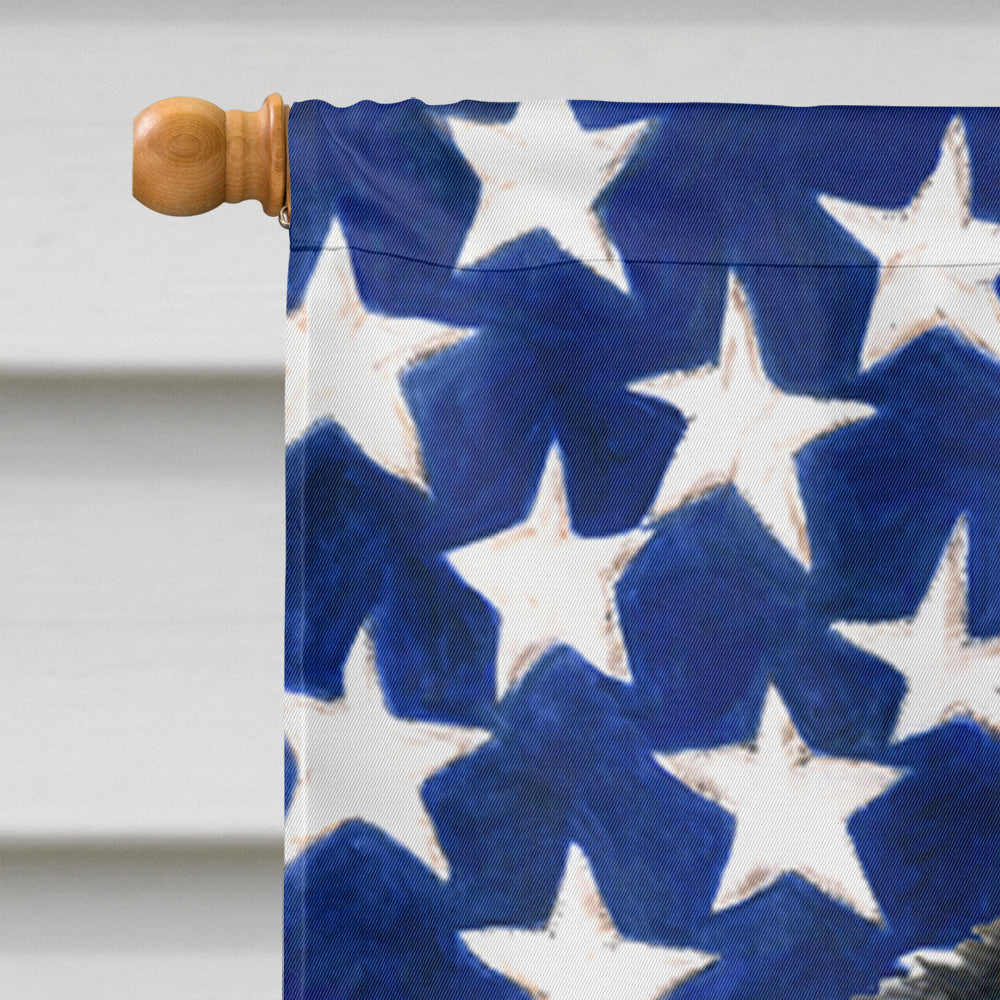 Drapeau américain des États-Unis avec la taille de maison de toile de drapeau d'Akita