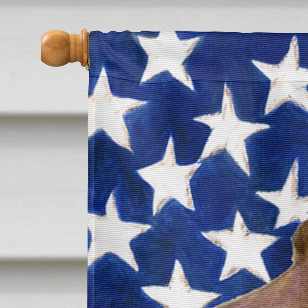 USA American Flag with Field Spaniel Flag Canvas House Size