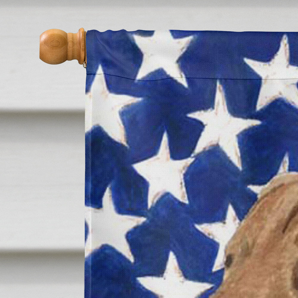 USA American Flag with Curly Coated Retriever Flag Canvas House Size