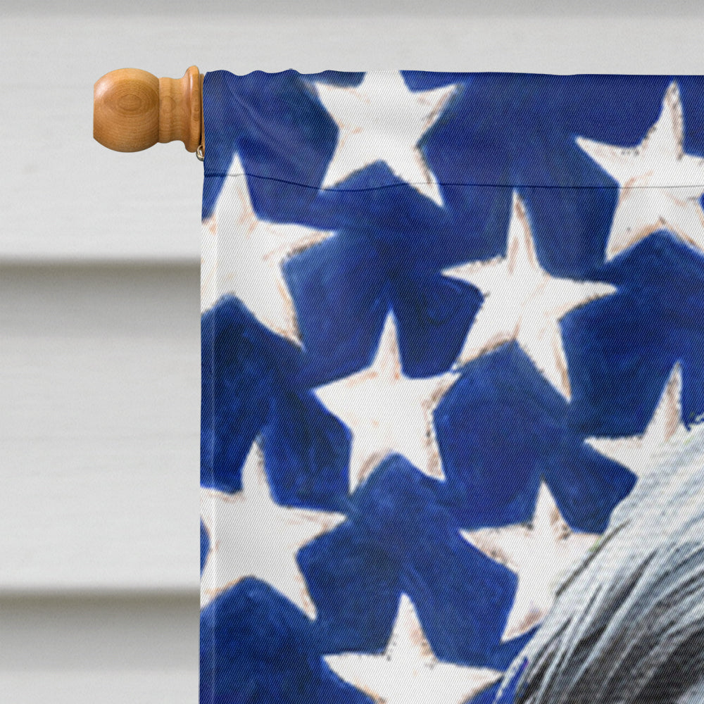 USA American Flag with Bearded Collie Flag Canvas House Size