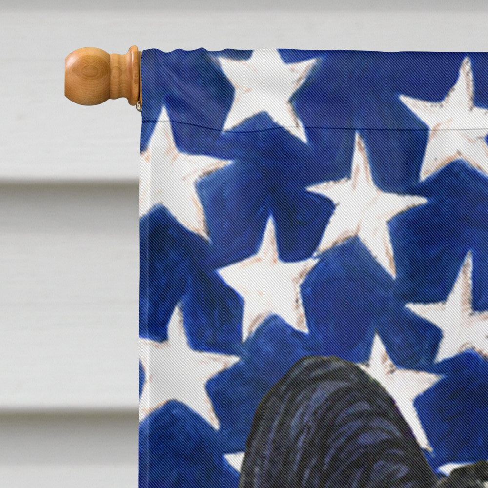 USA American Flag with Papillon Flag Canvas House Size  the-store.com.
