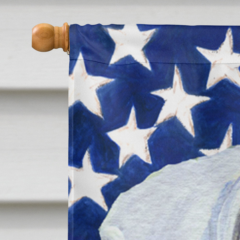 USA American Flag with Boxer Flag Canvas House Size