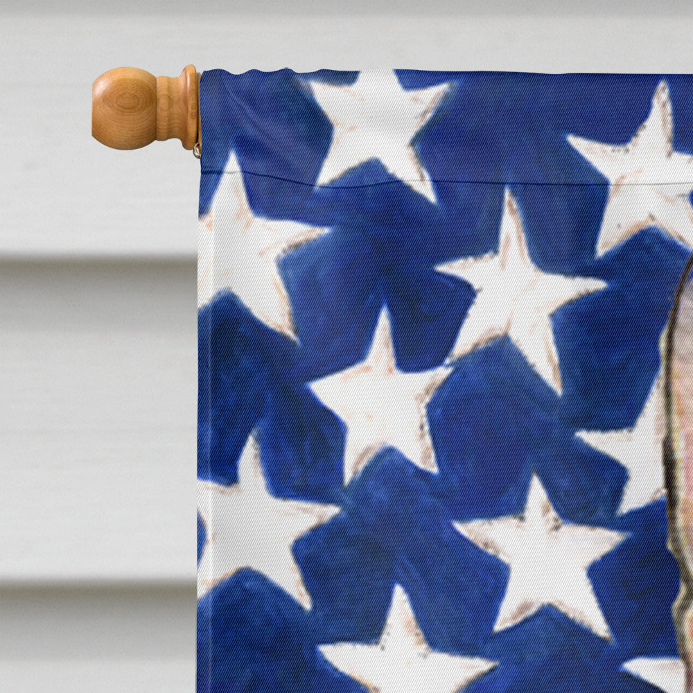 USA American Flag with Rat Terrier Flag Canvas House Size