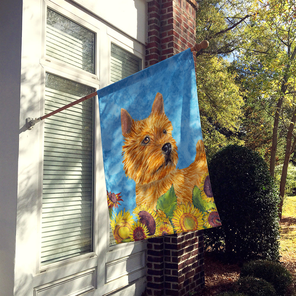 Caroline's Treasures Norwich Terrier Flag Canvas House Size