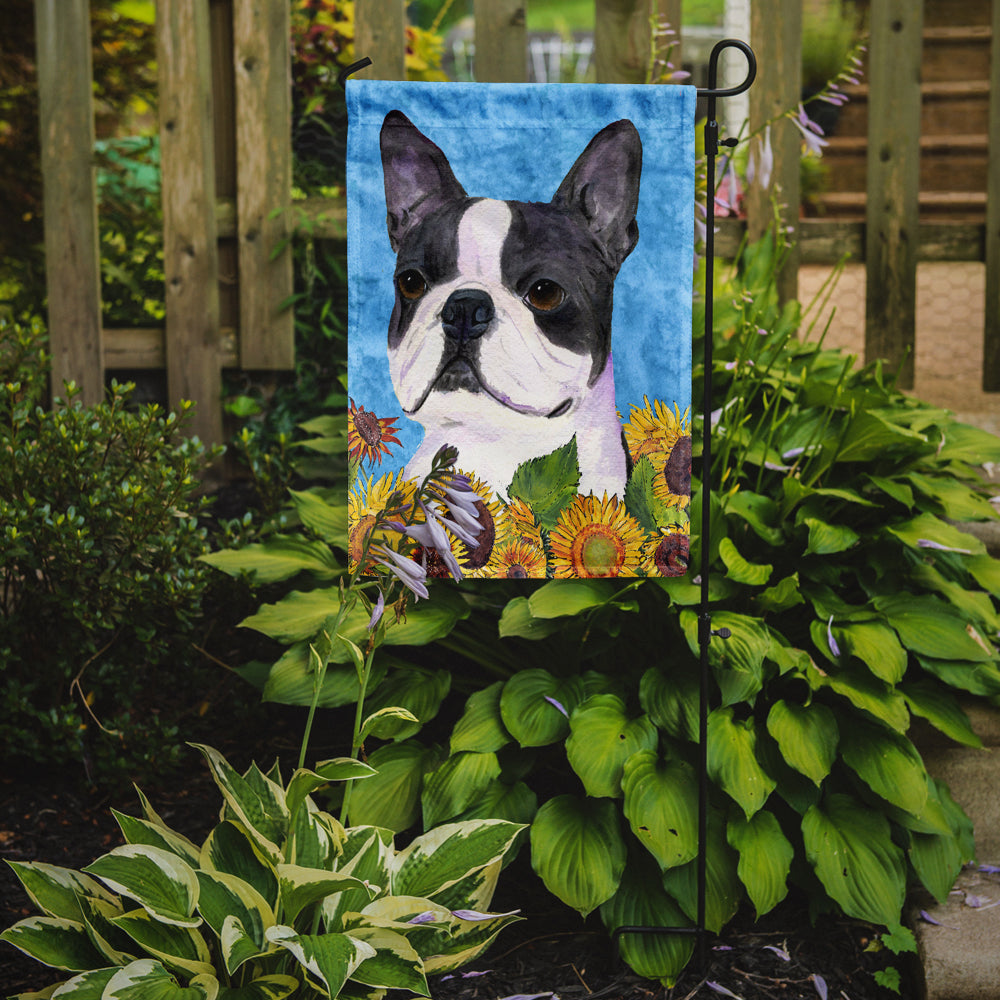 Taille du jardin du drapeau Boston Terrier