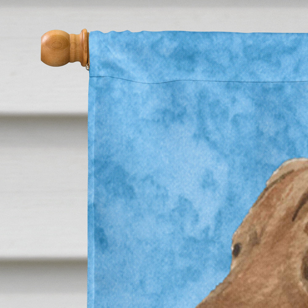 Curly Coated Retriever Flag Canvas House Size  the-store.com.