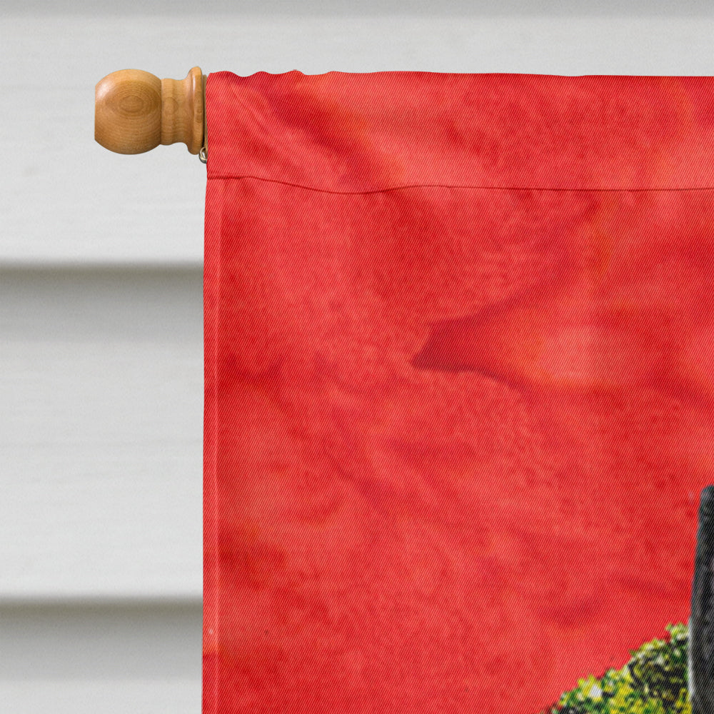 Australian Kelpie Flag Canvas House Size
