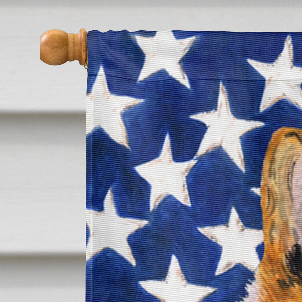 USA American Flag with Collie Smooth Flag Canvas House Size
