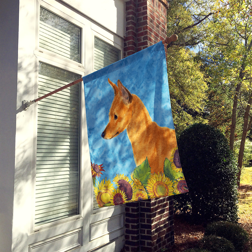 Min Pin Flag Canvas House Size