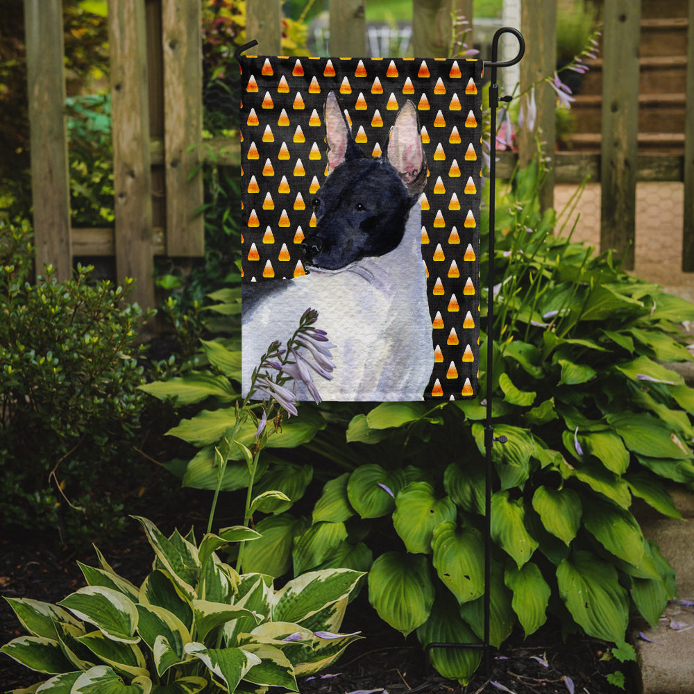 Rat Terrier Bonbons Maïs Halloween Portrait Drapeau Jardin Taille