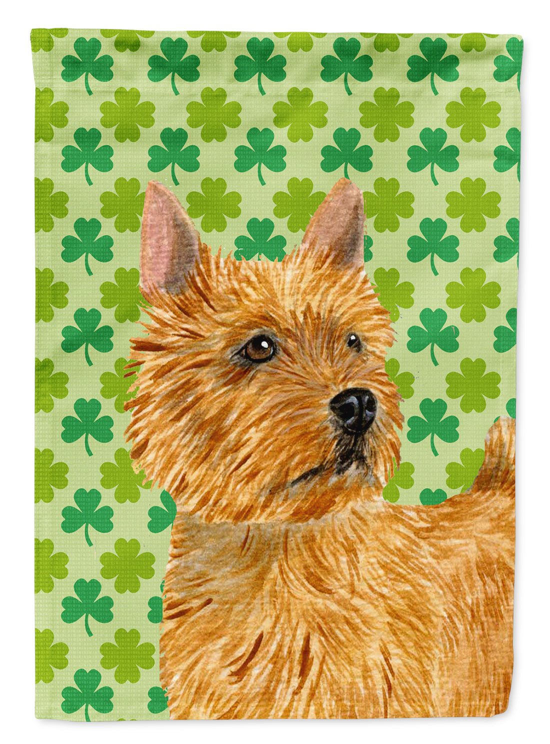 Norwich Terrier St. Patrick&#39;s Day Shamrock Portrait Drapeau Toile Taille de la maison