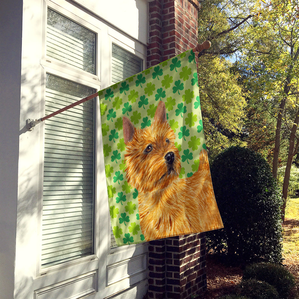 Caroline's Treasures Norwich Terrier St. Patrick's Day Shamrock Portrait Flag Canvas House Size