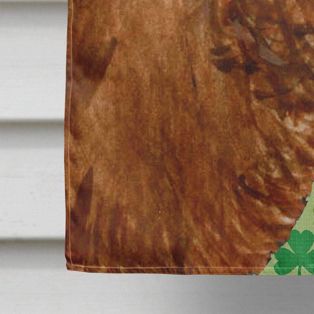 Sussex Spaniel St. Patrick's Day Shamrock Portrait Flag Canvas House Size