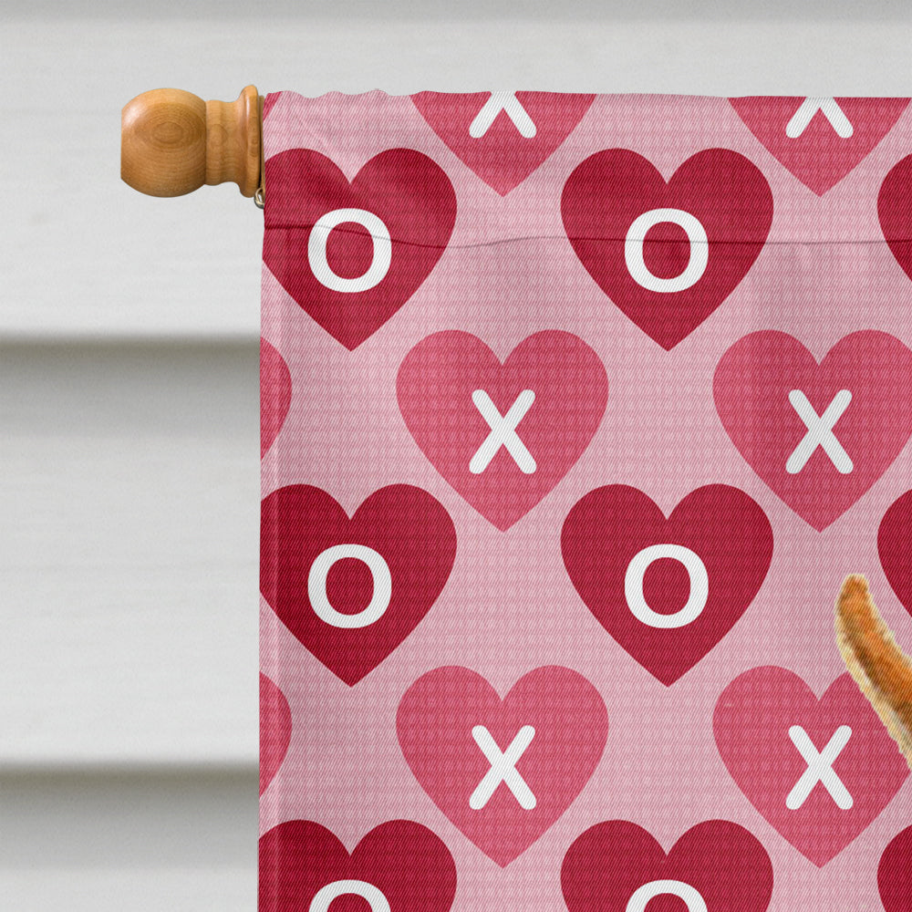 Min Pin Hearts Love and Valentine's Day Portrait Flag Canvas House Size  the-store.com.