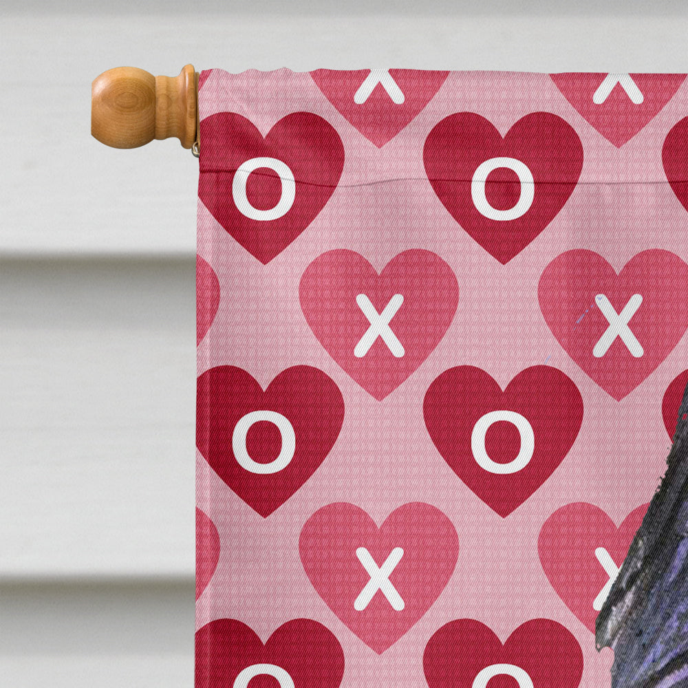 Briard Hearts Love and Valentine's Day Portrait Flag Canvas House Size