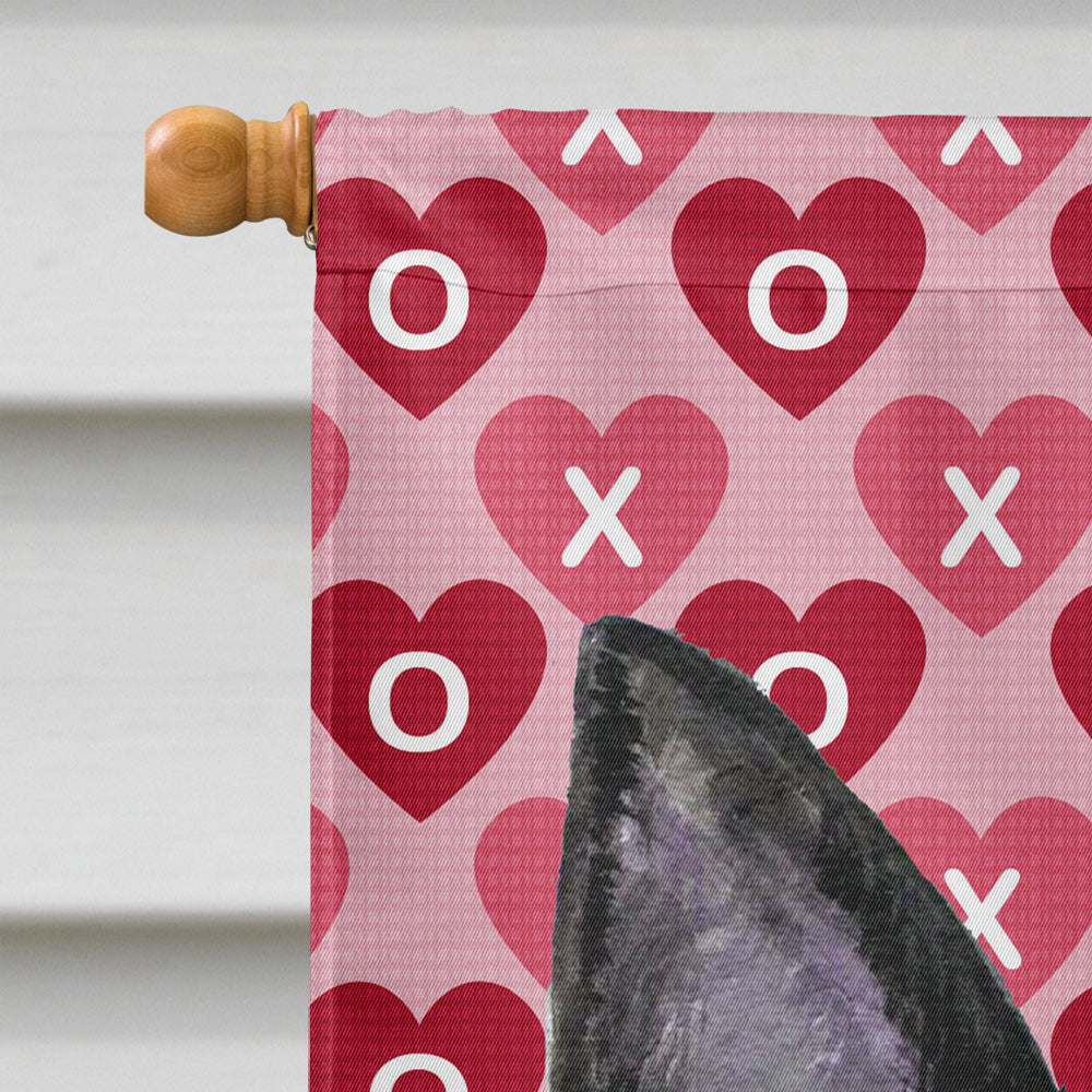 Australian Kelpie Hearts Love and Valentine's Day  Flag Canvas House Size