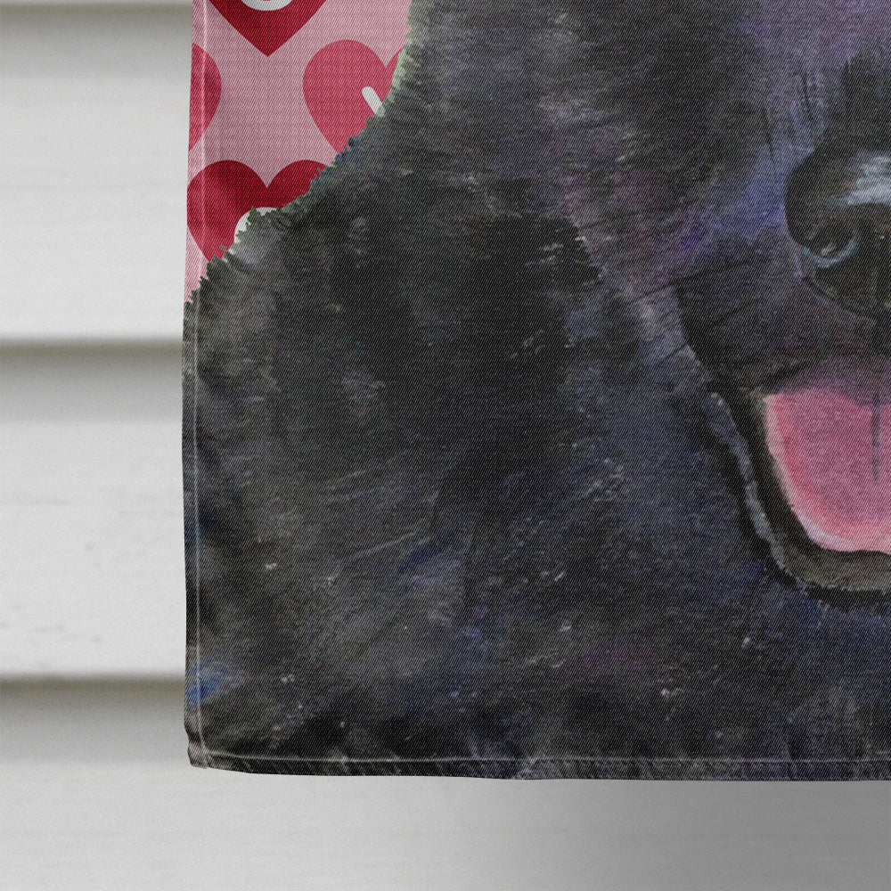 Australian Kelpie Hearts Love and Valentine's Day  Flag Canvas House Size  the-store.com.