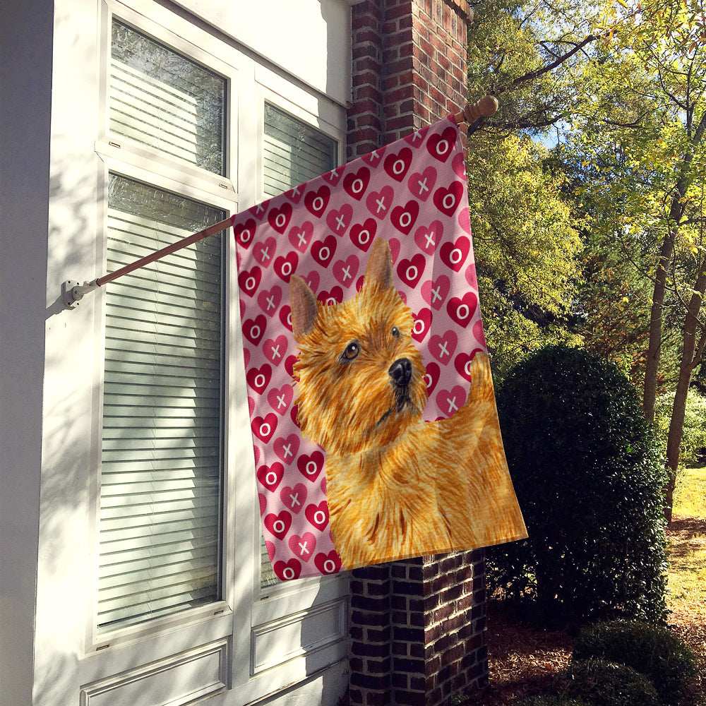 Caroline's Treasures Norwich Terrier Hearts Love and Valentine's Day Portrait Flag Canvas House Size