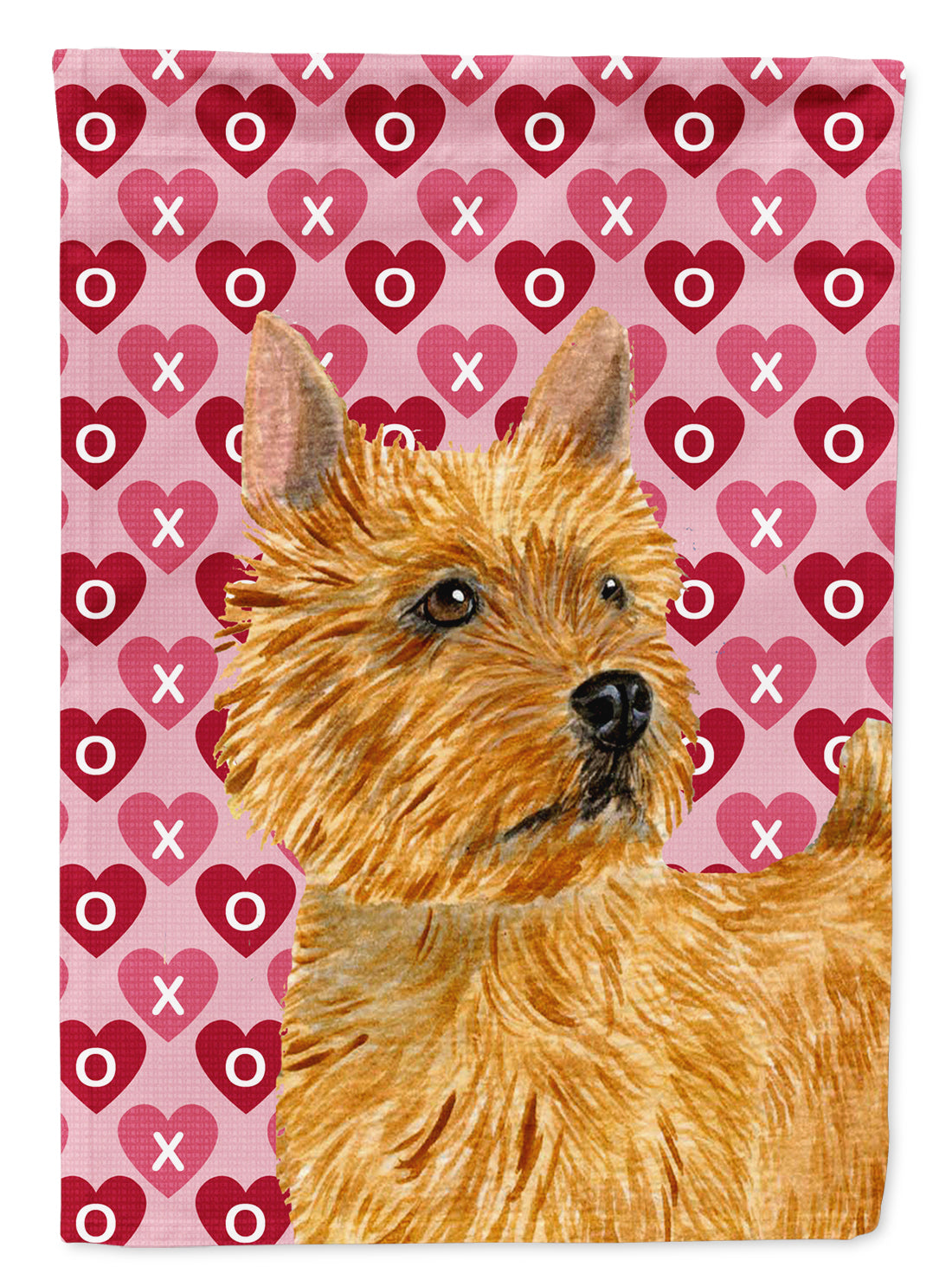 Norwich Terrier Hearts Love and Valentine&#39;s Day Portrait Flag Garden Size.