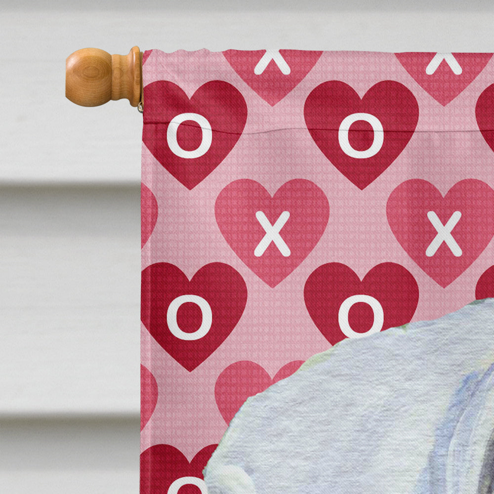 Boxer Hearts Love and Valentine's Day Portrait Flag Canvas House Size