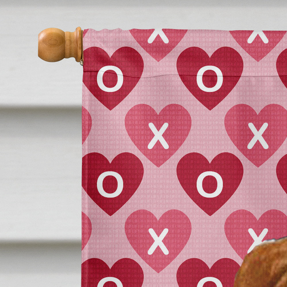 Sussex Spaniel Hearts Love and Valentine's Day Portrait Flag Canvas House Size