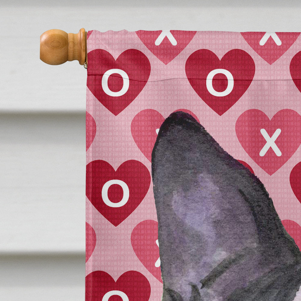 Boston Terrier Hearts Love and Valentine's Day Portrait Flag Canvas House Size  the-store.com.