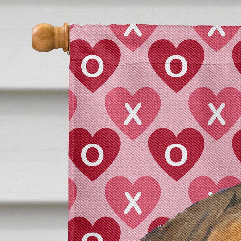 Bullmastiff Hearts Love and Valentine's Day Portrait Flag Canvas House Size