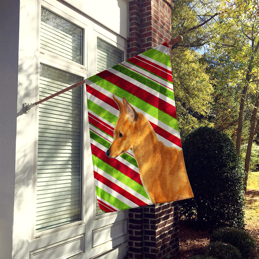 Min Pin Candy Cane Holiday Christmas Flag Canvas House Size  the-store.com.