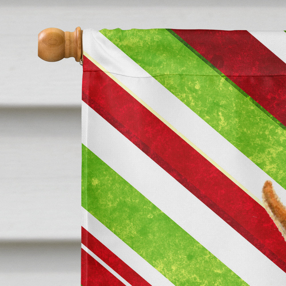 Min Pin Candy Cane Holiday Christmas Flag Canvas House Size  the-store.com.