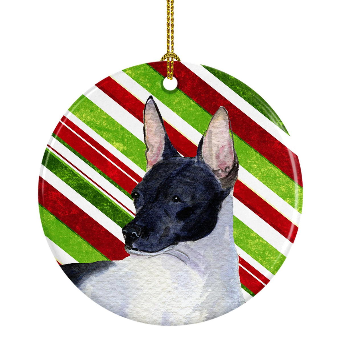 Rat Terrier Candy Cane Holiday Christmas Ceramic Ornament SS4549 by Caroline&#39;s Treasures