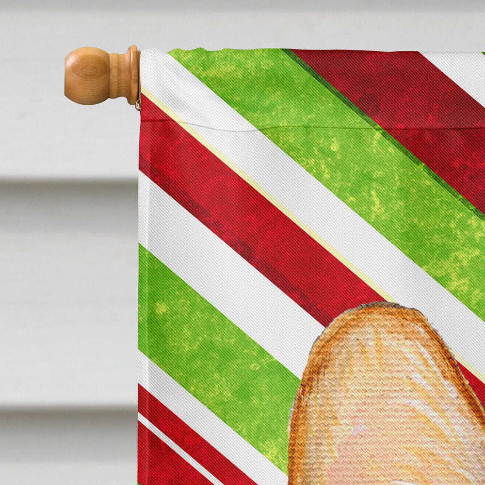 Corgi Candy Cane Holiday Christmas Flag Canvas House Size
