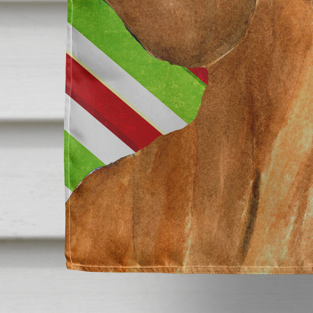 Dachshund Candy Cane Holiday Christmas Flag Canvas House Size