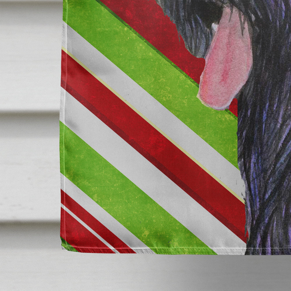 Briard Candy Cane Holiday Christmas Flag Canvas House Size