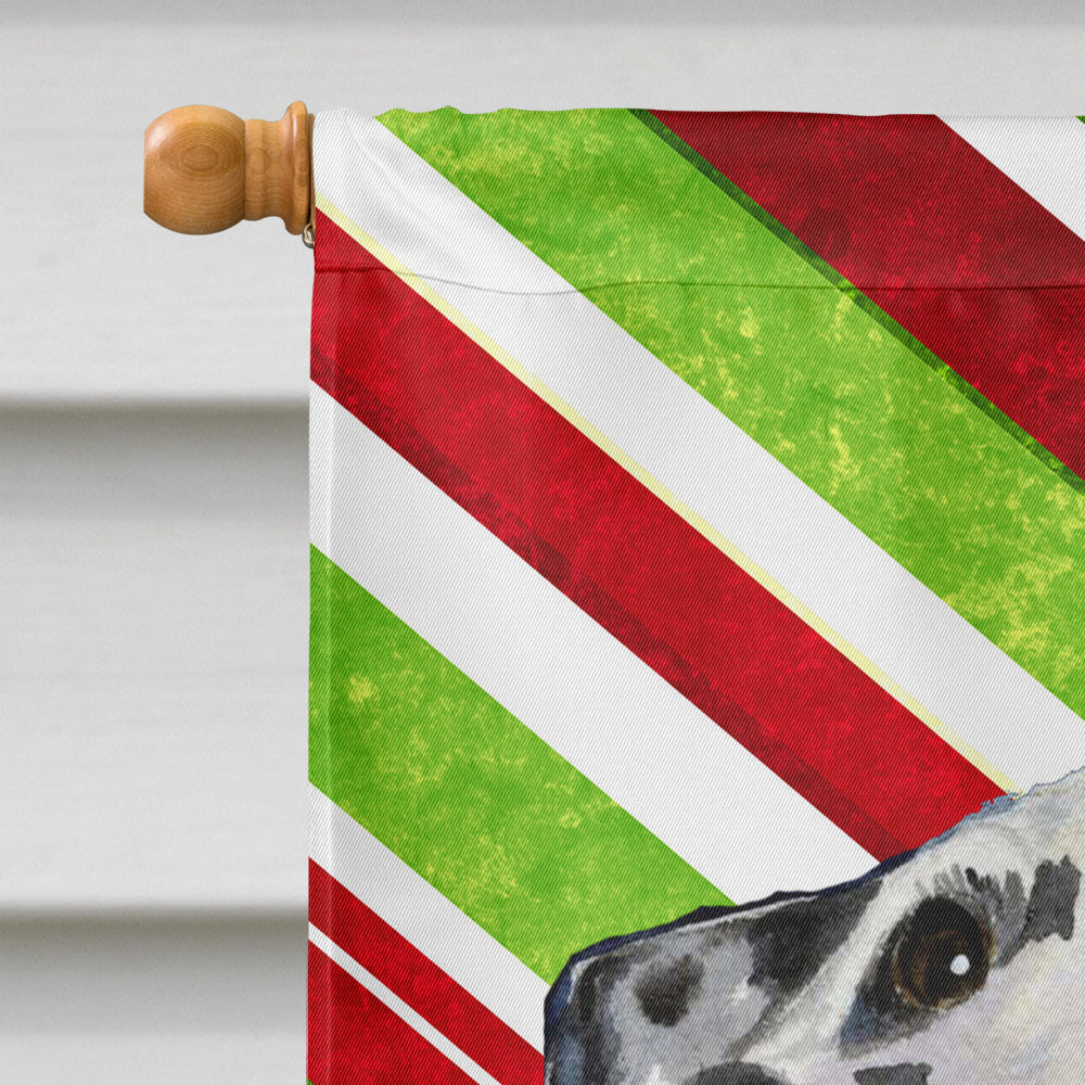 Dalmatian Candy Cane Holiday Christmas Flag Canvas House Size