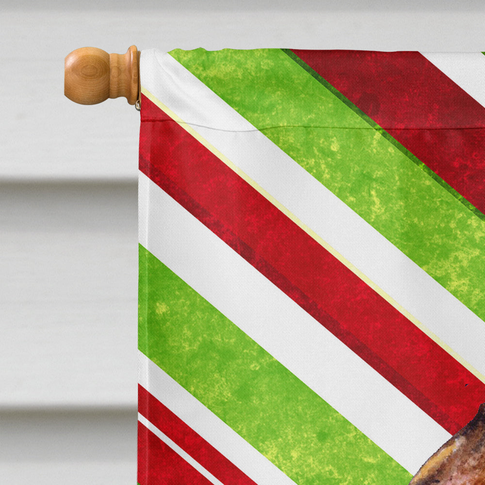 Brussels Griffon Candy Cane Holiday Christmas Flag Canvas House Size  the-store.com.