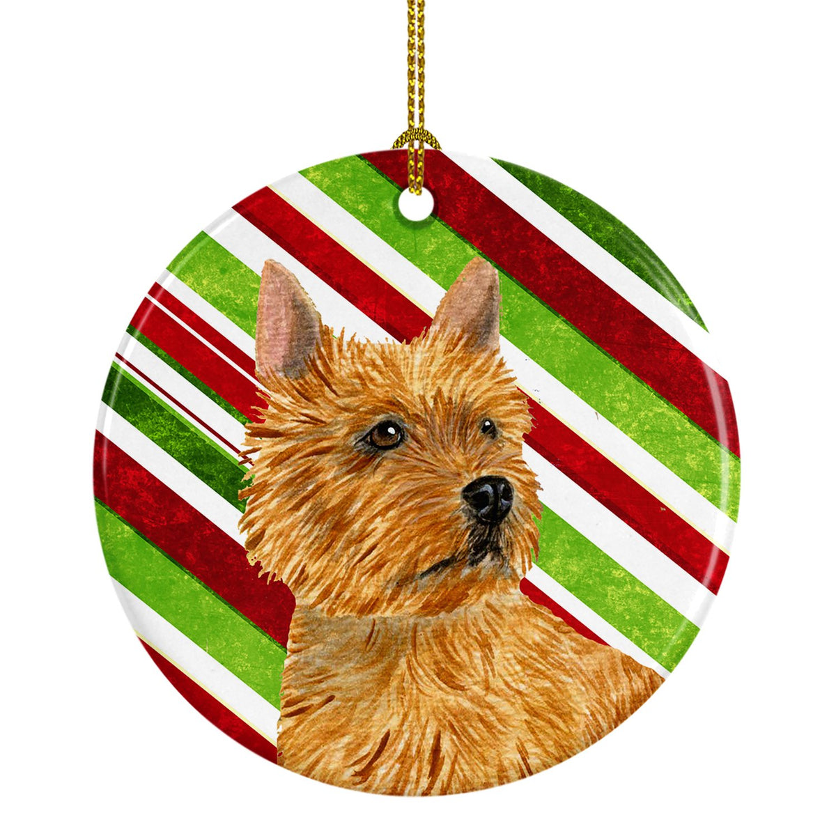 Norwich Terrier Candy Cane Holiday Christmas Ceramic Ornament SS4568 by Caroline&#39;s Treasures