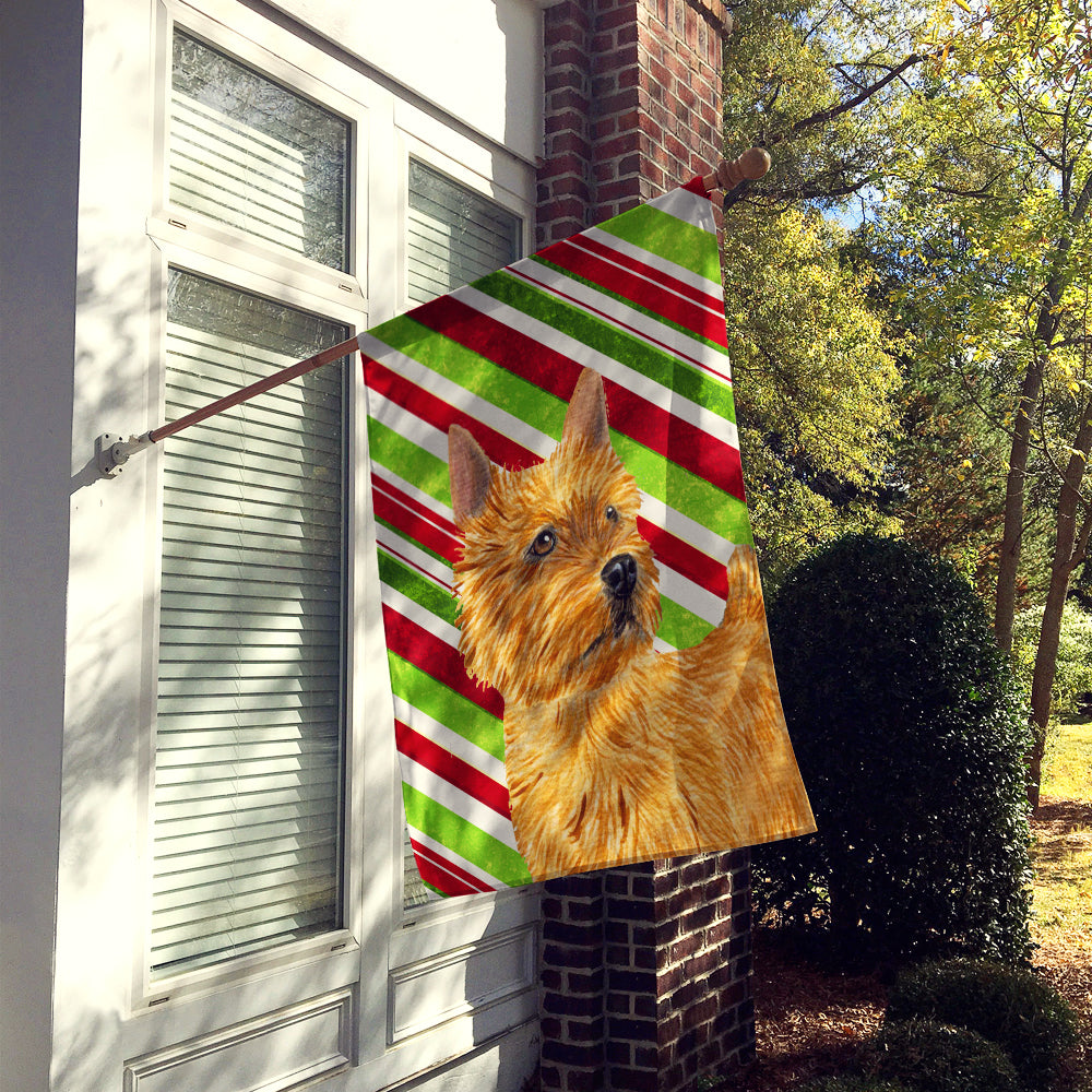 Norwich Terrier Candy Cane Holiday Christmas Flag Canvas House Size  the-store.com.