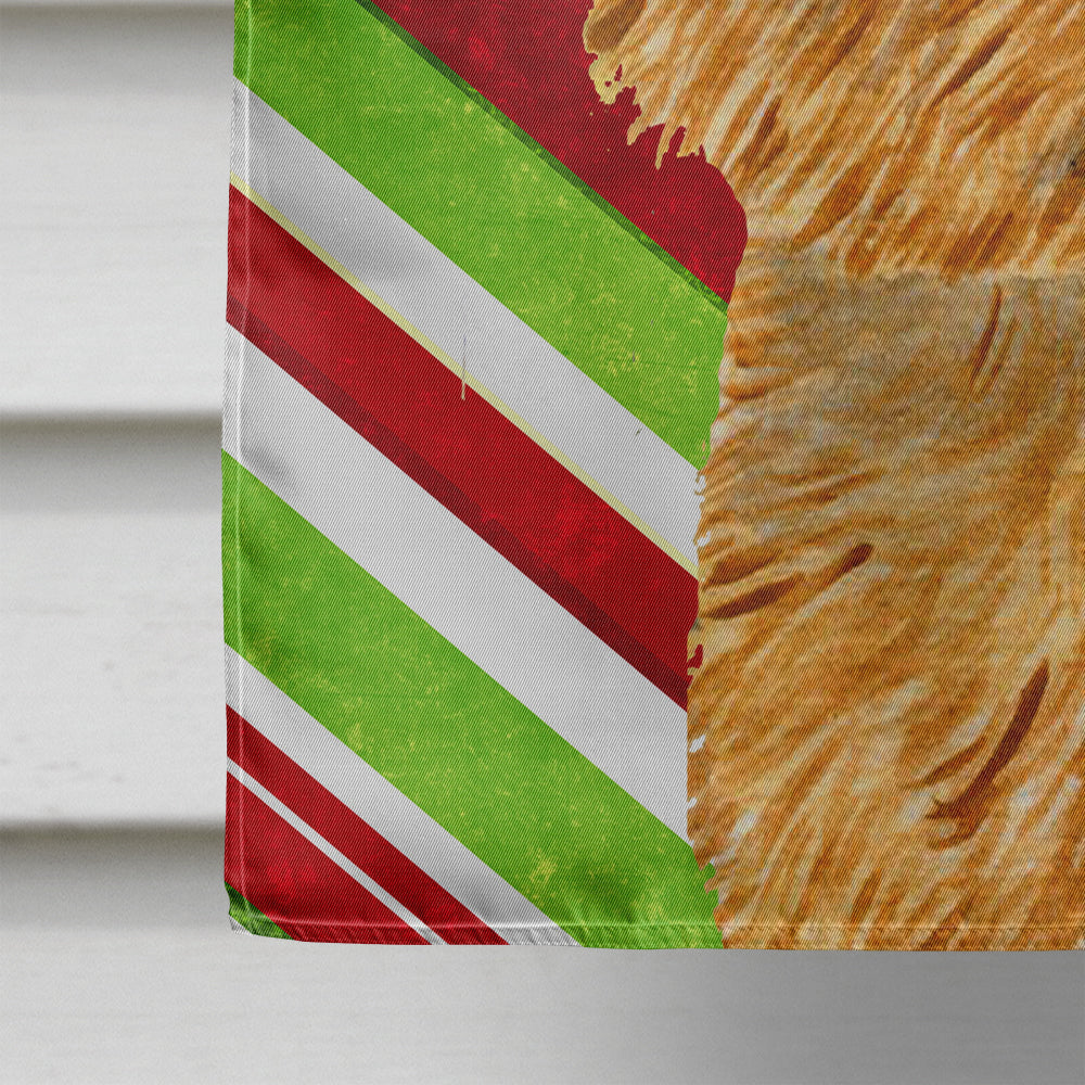 Norwich Terrier Candy Cane Holiday Christmas Flag Canvas House Size  the-store.com.