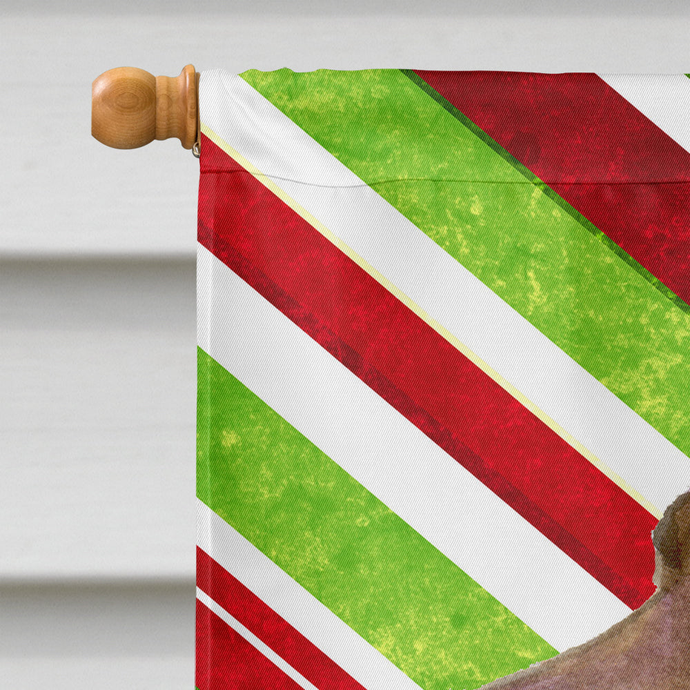 Field Spaniel Candy Cane Holiday Christmas Flag Canvas House Size  the-store.com.