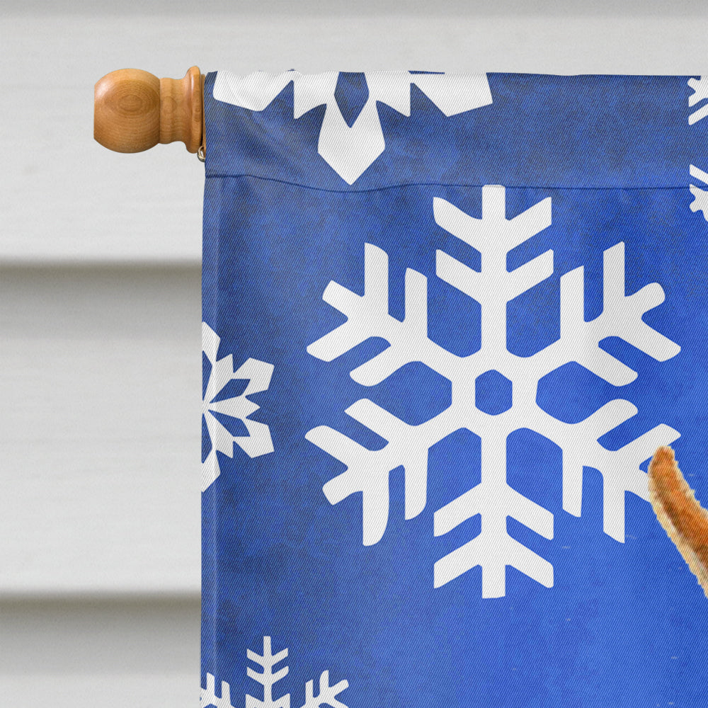 Min Pin Winter Snowflakes Holiday Flag Canvas House Size
